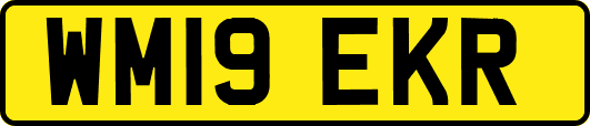 WM19EKR