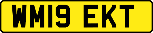 WM19EKT