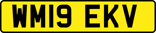 WM19EKV