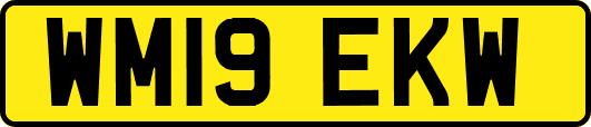 WM19EKW