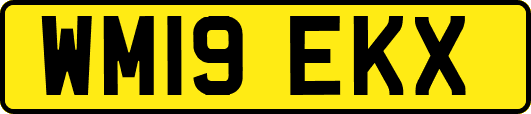 WM19EKX