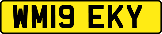 WM19EKY