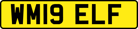 WM19ELF