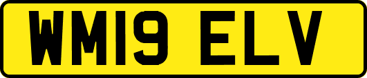 WM19ELV