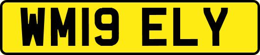 WM19ELY