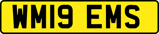 WM19EMS