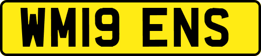 WM19ENS