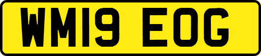 WM19EOG