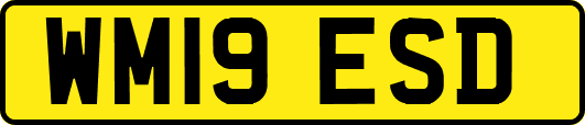 WM19ESD