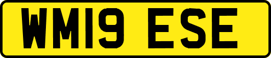 WM19ESE