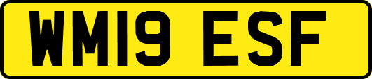 WM19ESF