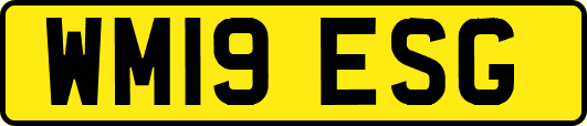 WM19ESG
