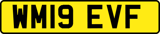 WM19EVF