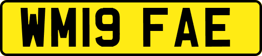 WM19FAE