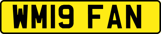 WM19FAN