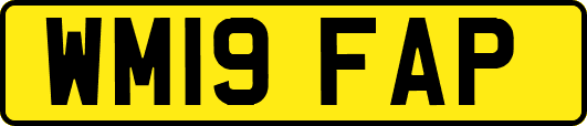 WM19FAP
