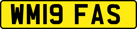 WM19FAS