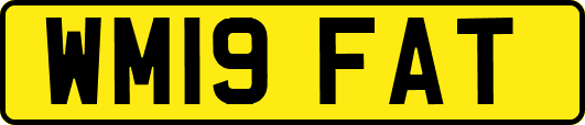 WM19FAT