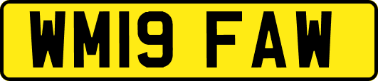 WM19FAW