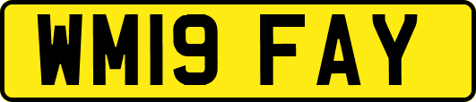 WM19FAY