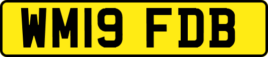 WM19FDB