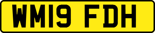 WM19FDH