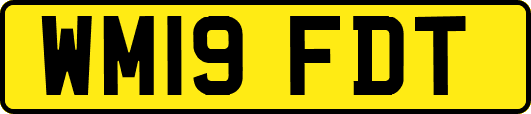 WM19FDT