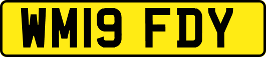 WM19FDY