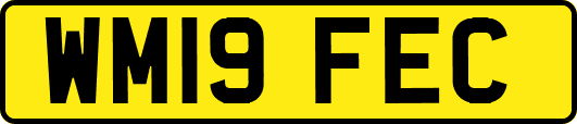 WM19FEC