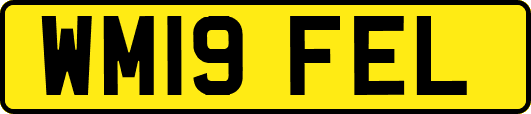 WM19FEL
