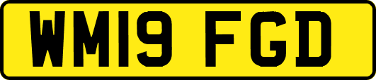 WM19FGD