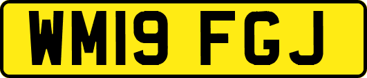 WM19FGJ