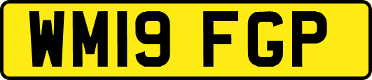 WM19FGP