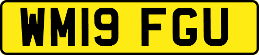 WM19FGU