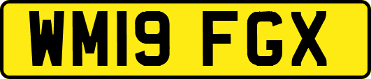 WM19FGX