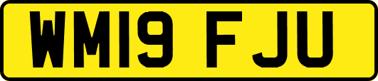 WM19FJU