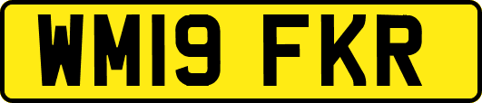 WM19FKR