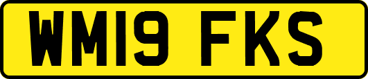 WM19FKS