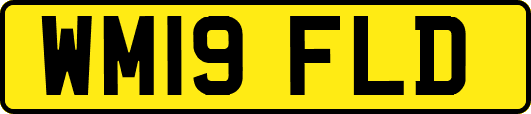 WM19FLD
