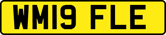 WM19FLE