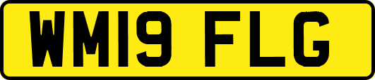 WM19FLG