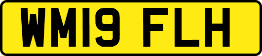WM19FLH
