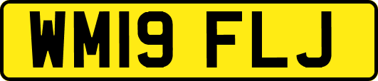 WM19FLJ