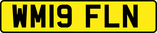 WM19FLN