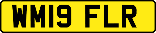 WM19FLR