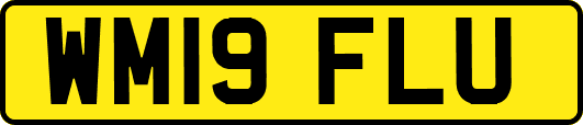 WM19FLU