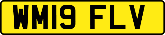 WM19FLV