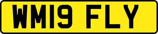 WM19FLY