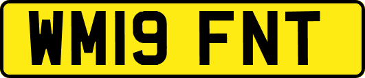WM19FNT