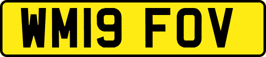 WM19FOV